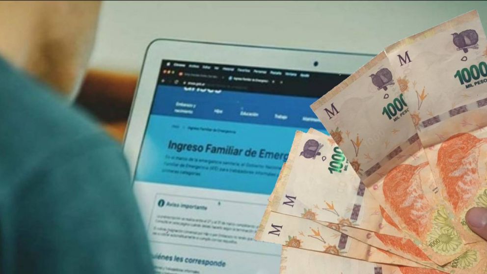 Actualmente, el formulario de consulta de cobro del IFE sigue disponible en la�web de Anses