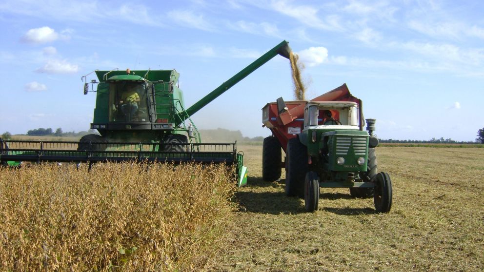 Para la nueva campa�a, los privados pronosticaron cosecha de 44 millones de toneladas