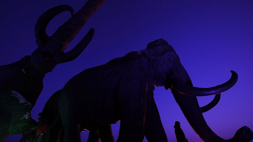 El mamut lanudo se extingui� hace 10.000 a�os