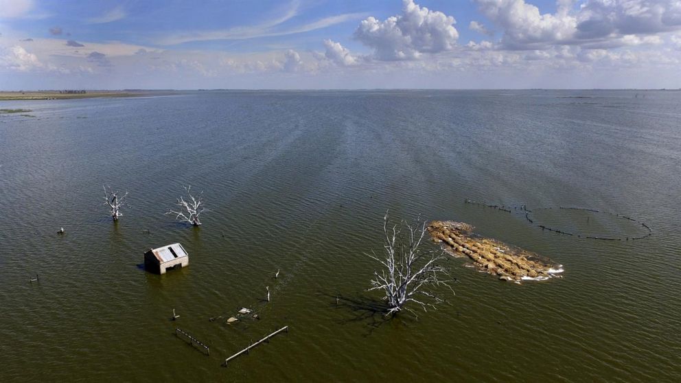 Cambio climático: la Argentina como parte de la solución