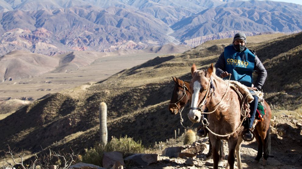 La mula permitirá que el material electoral de las PASO 2021 llegue a lo más remoto de Jujuy