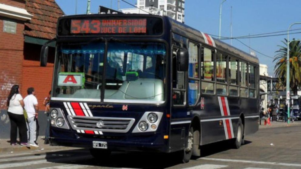 Elecciones 2021: ¿Qué debo presentar para viajar gratis durante las PASO?