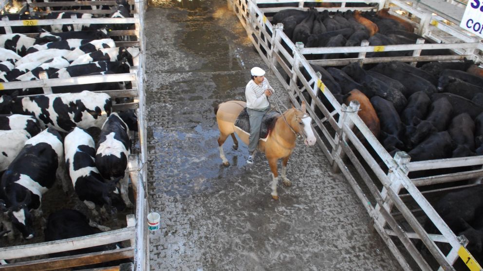 Las cotizaciones pasaron de $114 a $110