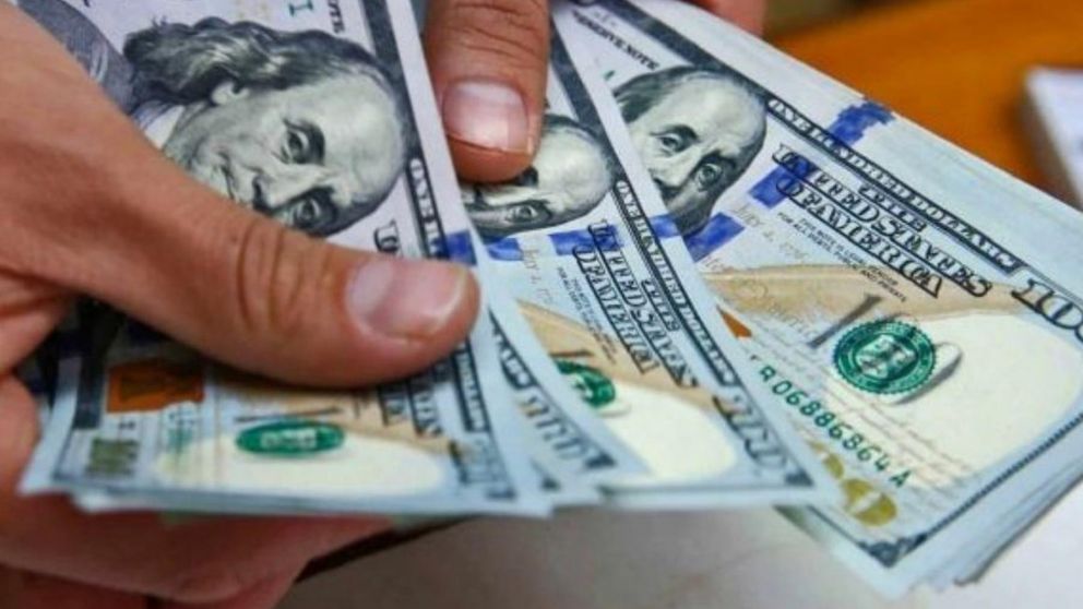 El informe detalló que los depósitos privados en dólares crecieron 8,5 este año