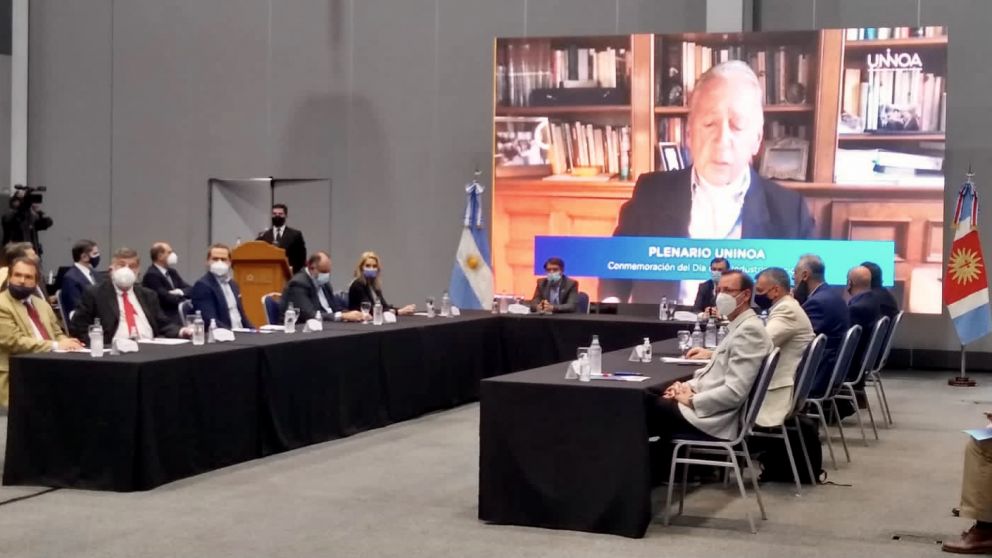 Funes de Rioja habl� de manera virtual en el plenario del Uninoa