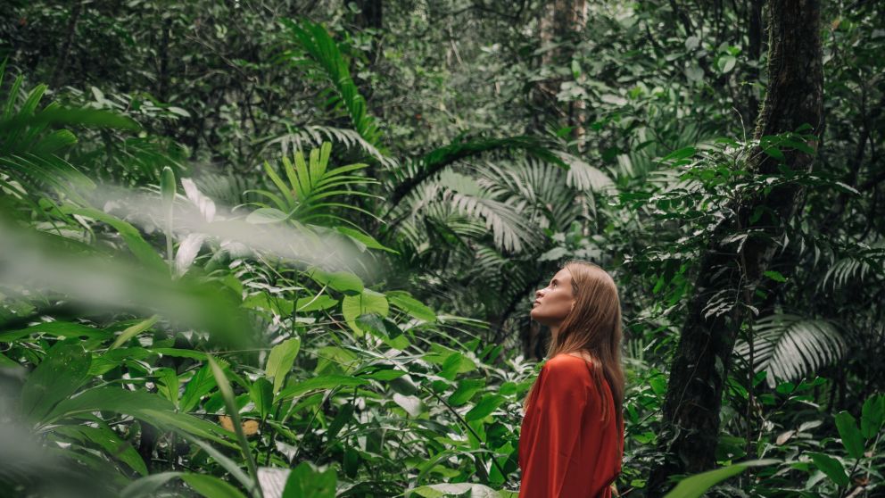 Naturaleza y micro placeres: tendencias en viajes y bienestar