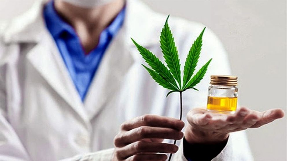 Cannabis: el 17,6% del consumo en Argentina es para fines medicinales