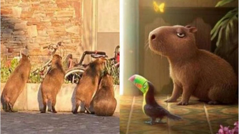 Carpinchos: la nueva tendencia de Argentina