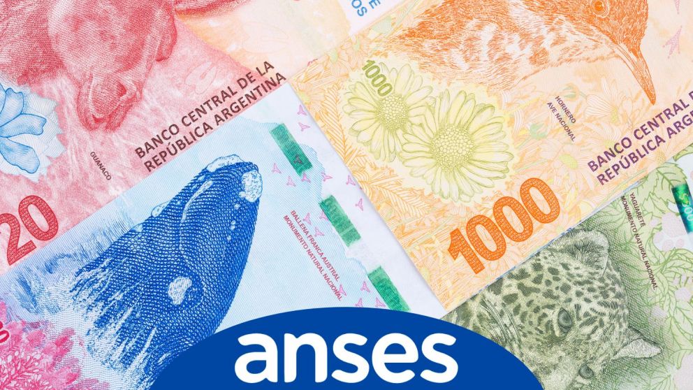 Descuentos en compras