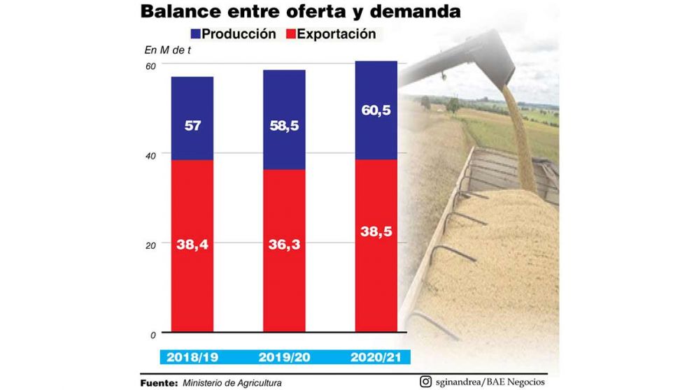 Con campaña récord, el Gobierno no descarta aumentar retenciones al maíz