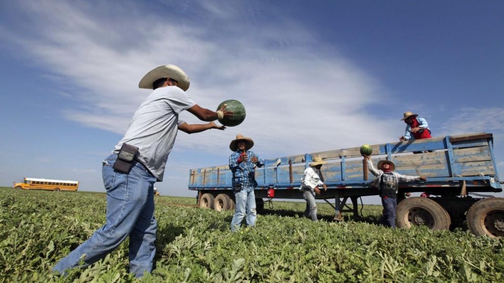 En las zonas rurales donde no aumentó la población latina, a las empresas les cuesta más conseguir empleados