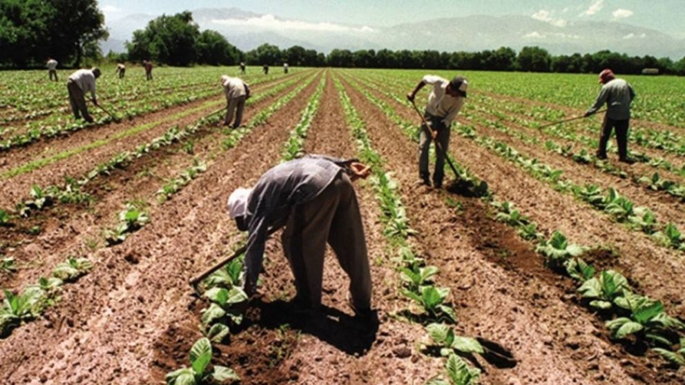 La incompatibilidad de los planes con el trabajo en blanco hac�a que muchas personas prefirieran no trabajar