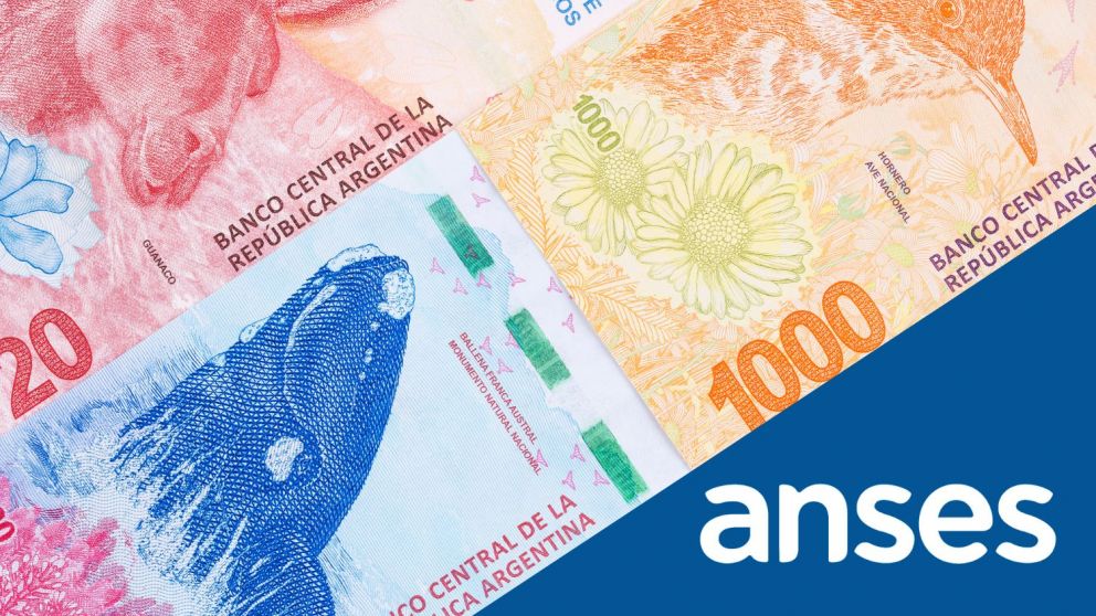 Con información de anses.gob.ar