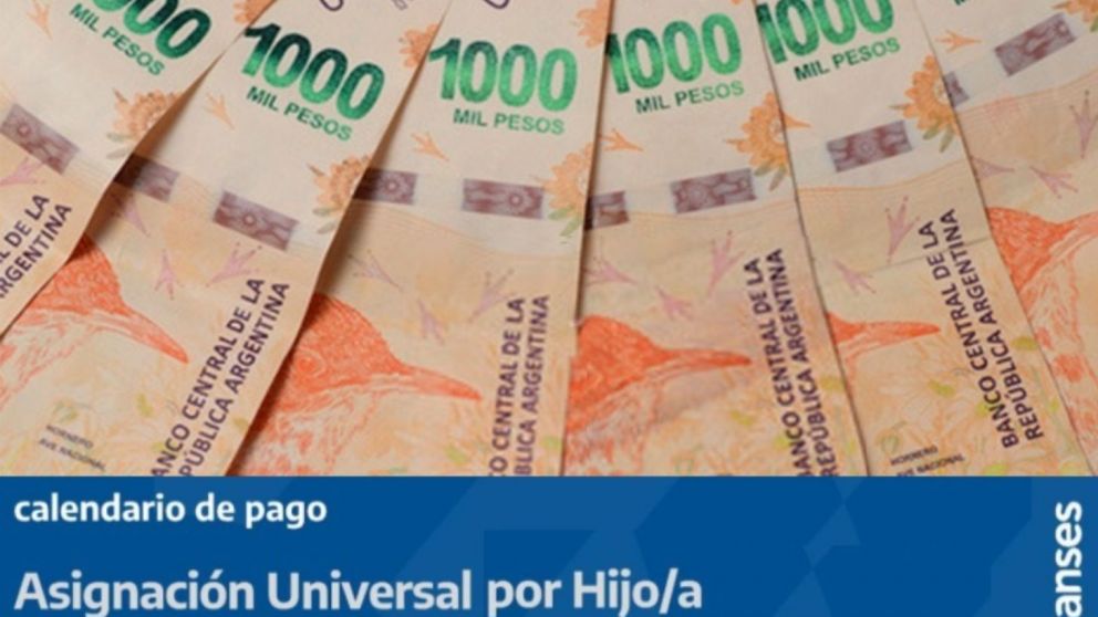 Mi Anses: quiénes cobran AUH, AUE y jubilaciones