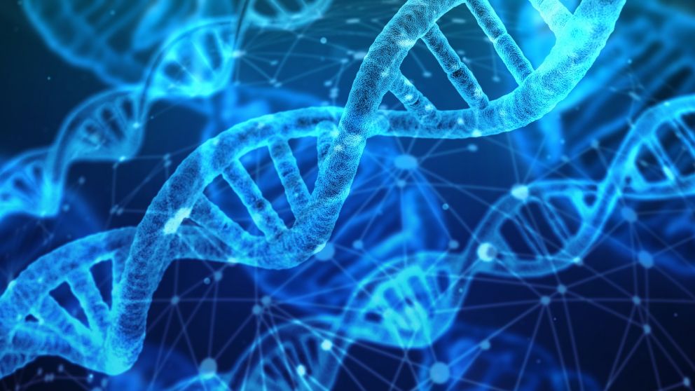 Lanzan en Argentina un test de ADN para conocer la ancestralidad y cuidar la salud