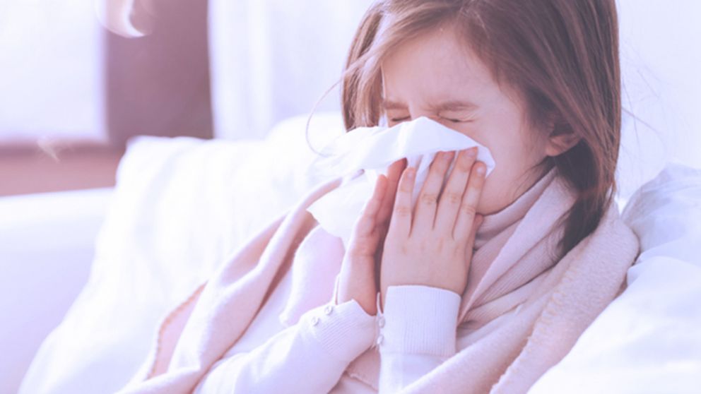 Nuevo virus alerta la sanidad en Estados Unidos