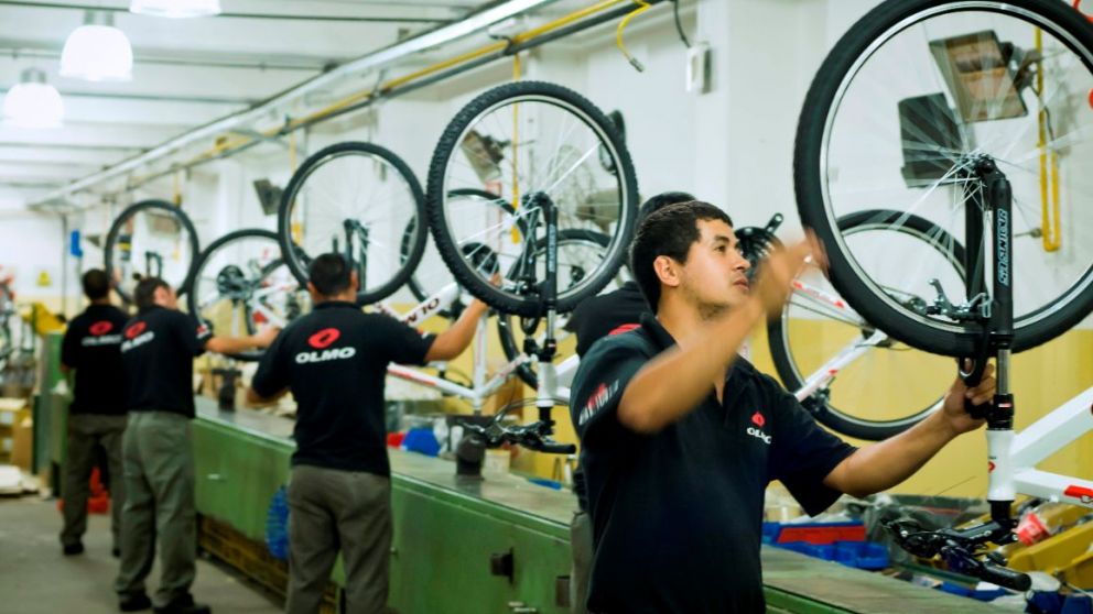 La producción de Olmo aumentará en un 50%