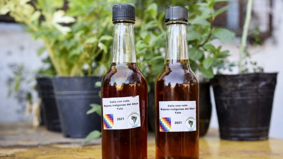 Por qué se toma caña con ruda el 1 de agosto