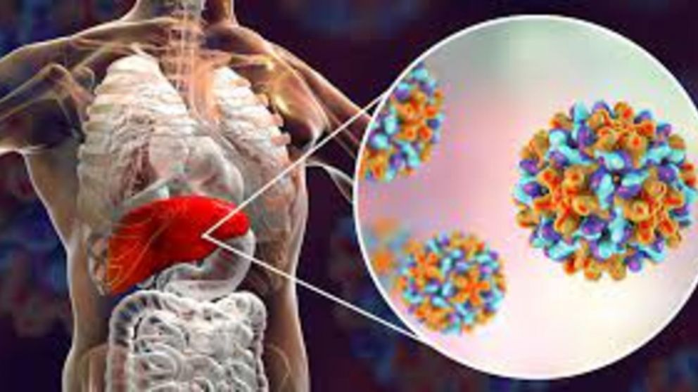 Día mundial de la hepatitis