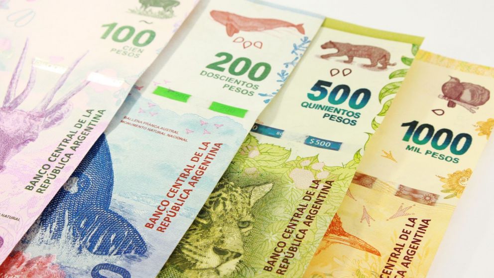 Presentan el Programa Acompañar en Mar del Plata