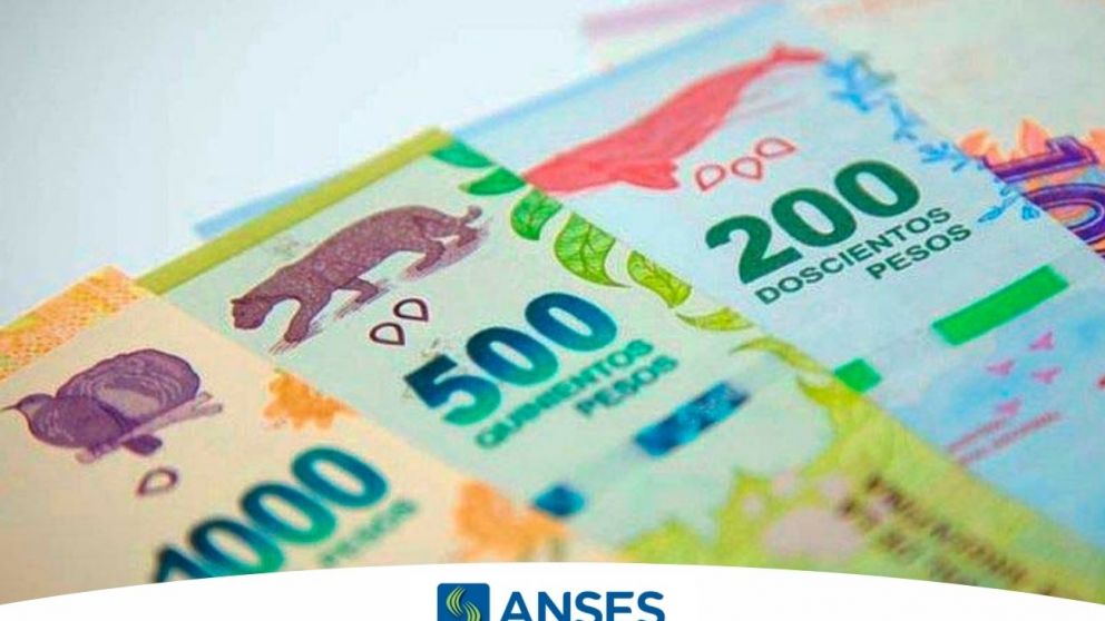 Mi Anses: Con tu DNI, consultá si accedes a los pagos únicos de agosto