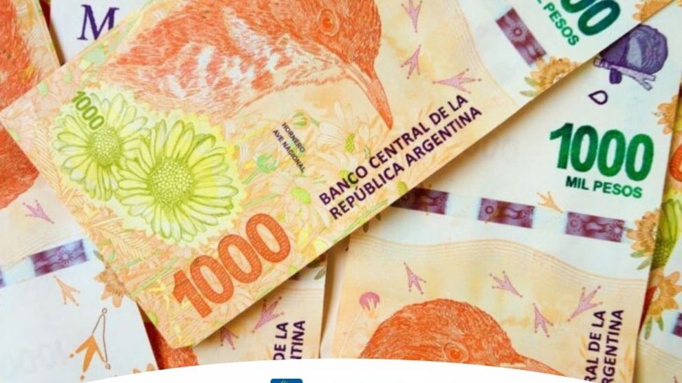 Mi Anses: Repro, bonos y pagos únicos de agosto