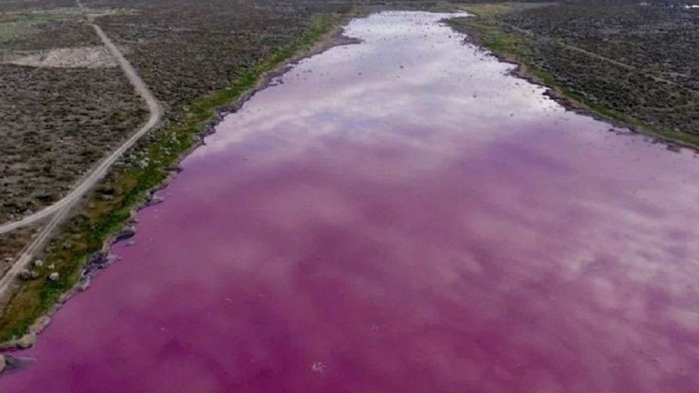 Laguna rosa en Chubut