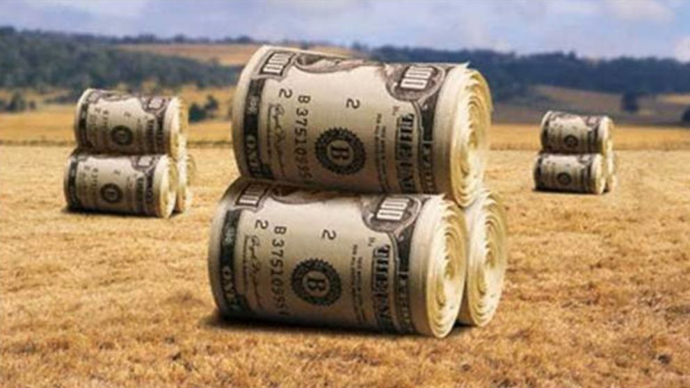 "Va a pasar lo mismo que sucede con la compra de neumáticos. Si los precisás, el valor lo ponen los importadores", alertaron los expertos