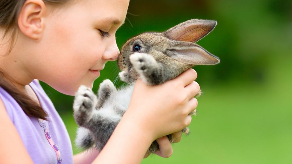 Consumo consciente: vegano, cruelty-free y biodegradable, lo más buscado