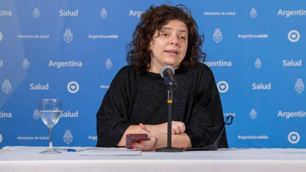 Vizzotti aseguró que debate por compra de penes de madera "visibiliza" la necesidad de la ESI