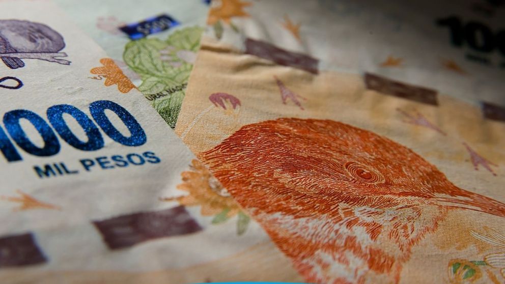 Calendario Anses: ¿Cuando cobro?