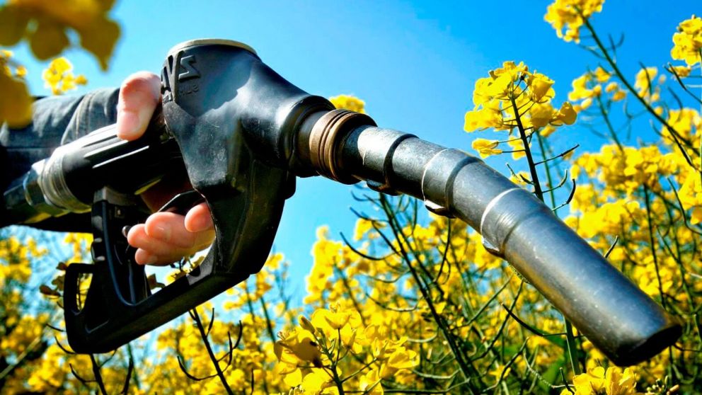 Ley de Biocombustibles: qué dice