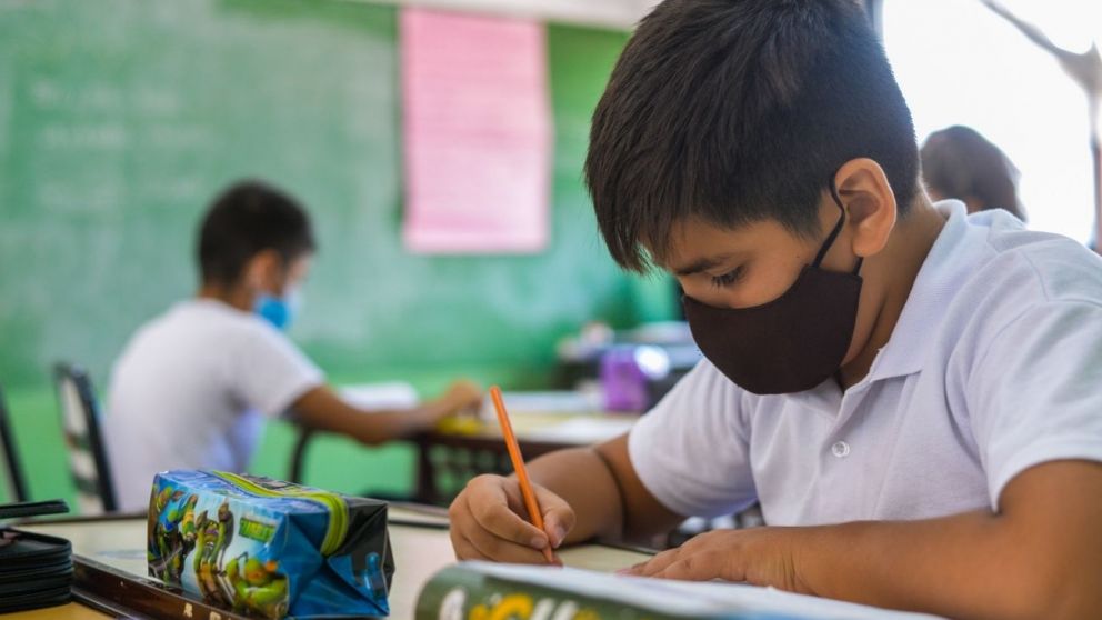 Vacunas para estudiantes, ¿cuándo se podrá avanzar?