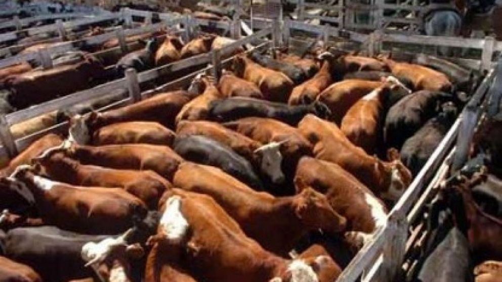 Las ventas en el barrio de Mataderos seguirán hasta diciembre