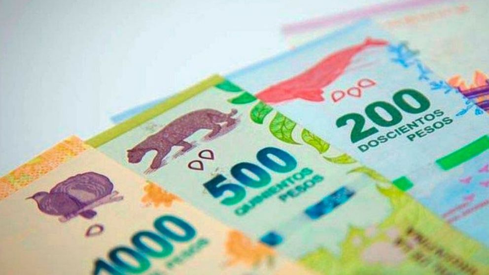 Salario Mínimo, ¿cómo impacta en Potenciar Trabajo y jubilados Anses?