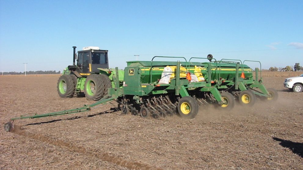 La siembra de trigo llegó al 84% del área total