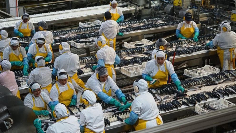 La actividad pesquera fue uno de los puntales de la recuperación económica chilena