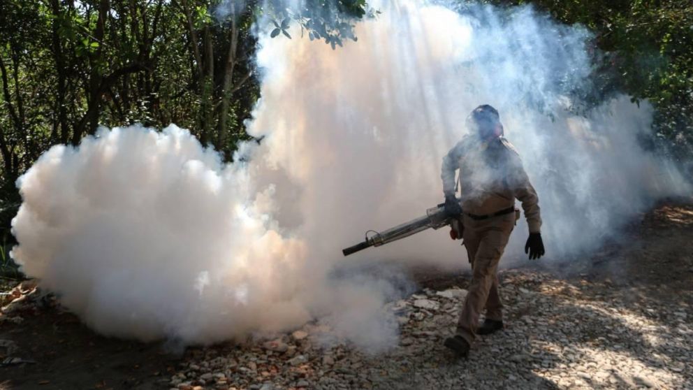 A lo largo de las últimas dos décadas, China intensificó sus esfuerzos y redujo el número de casos en la década de 1990 de 117.000 a 5.000 al año,