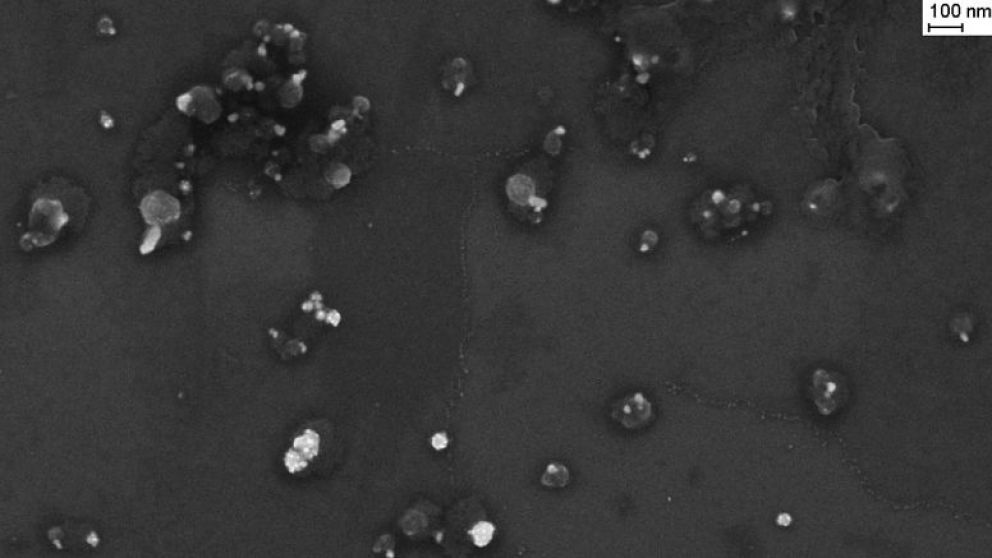 UBA y Conicet trabajan en nanotecnología para mejorar la calidad y rendimiento
de los cultivos