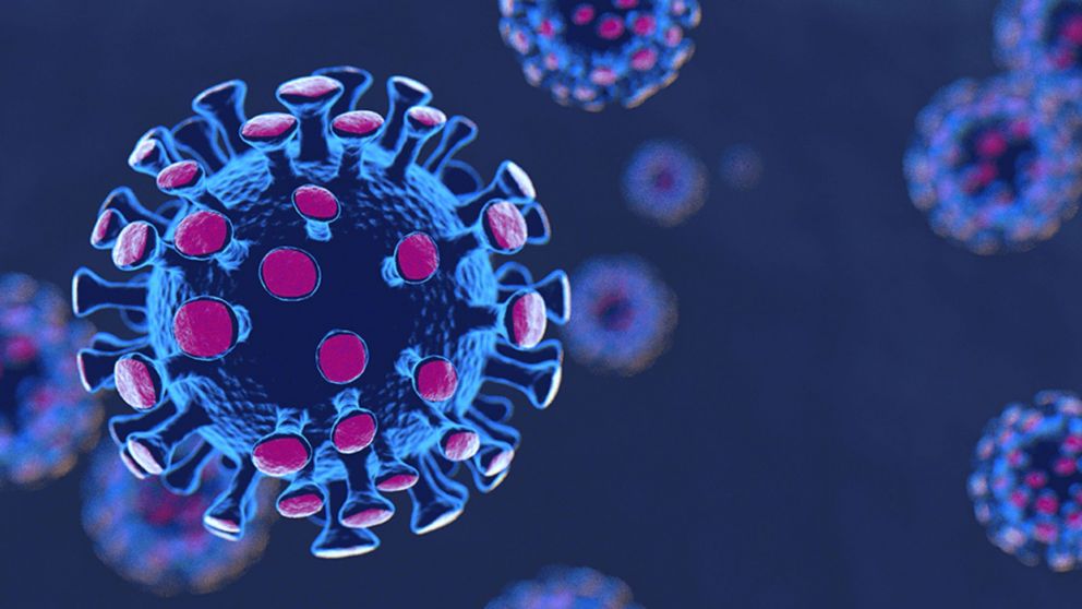 Variante de coronavirus: alerta por mutaciones más contagiosas