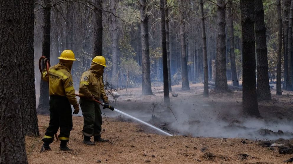 Los incendios del 9 de marzo tuvieron un efecto catastrófico