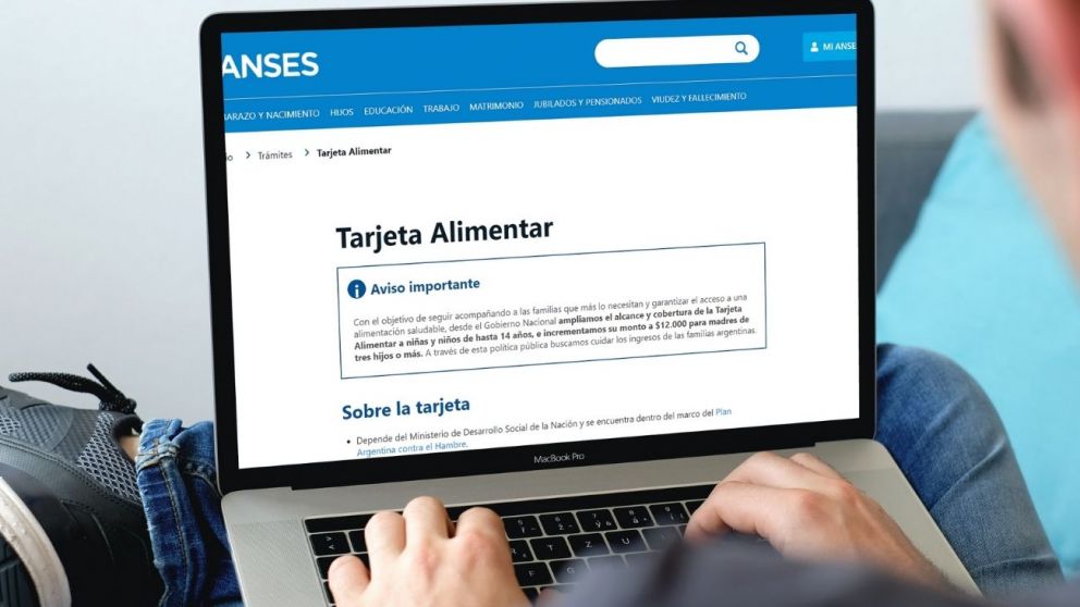 Tarjeta Alimentar: Cómo consultar el saldo disponible