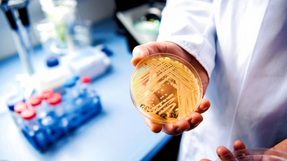 La auris puede causar infecciones invasivas sanguíneas y de otros tipos, especialmente en los pacientes que están internados en hospitales