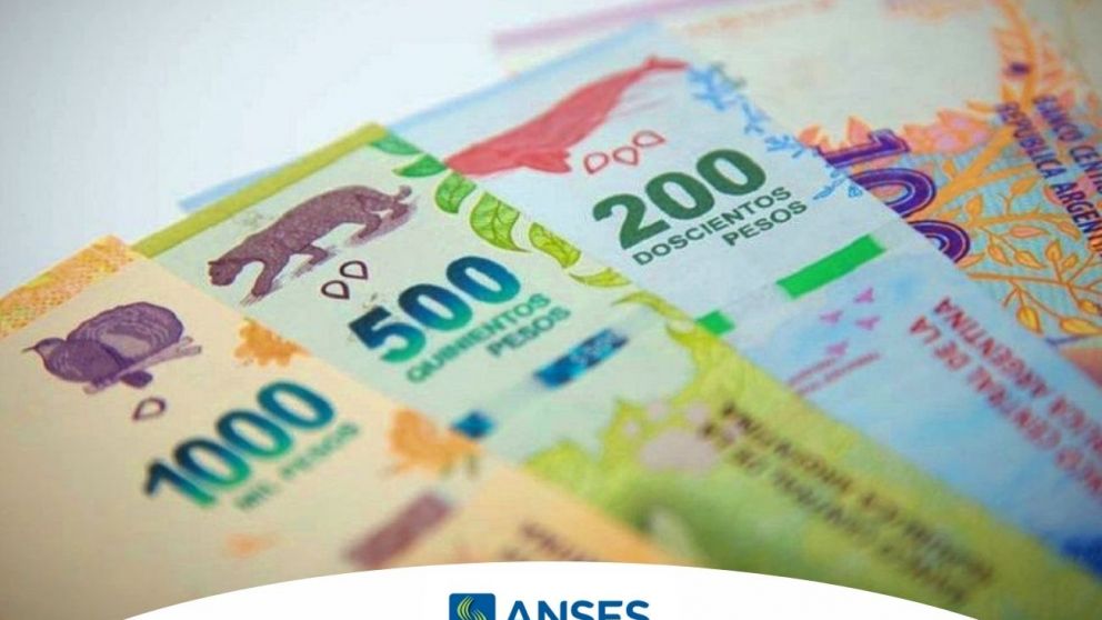 La Administración Nacional de la Seguridad Social ( Anses) ya tiene asignada la fecha de cobro