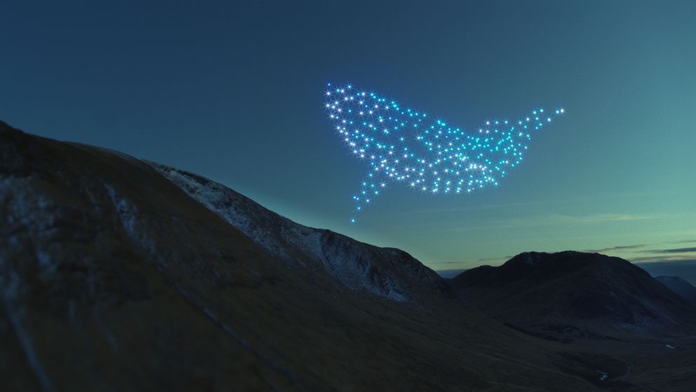 Una ballena azul, entre los animales iluminados con drones