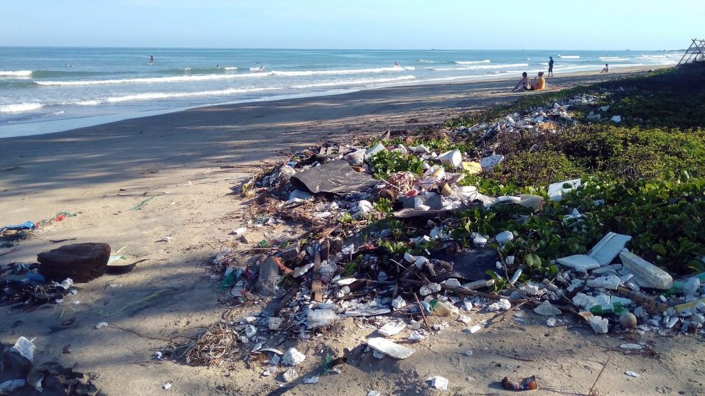 Barbijos y plásticos contaminan el mar de Argentina