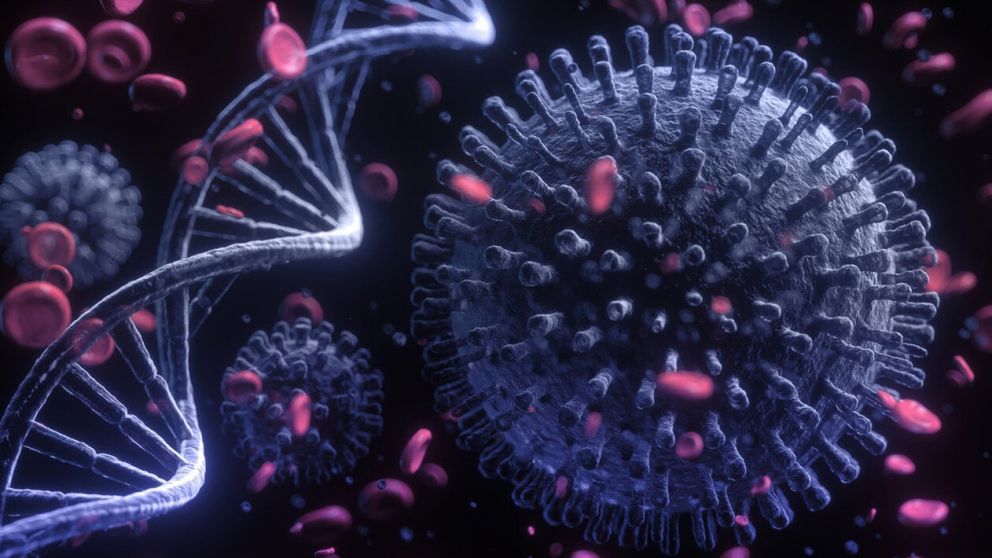 El 95% de los casos de Covid son por cepas del virus original