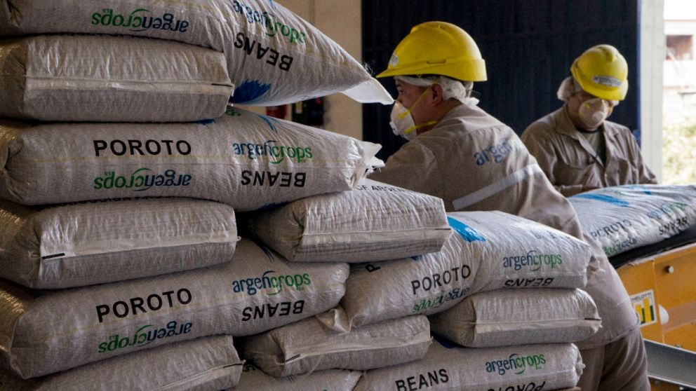 Argencrops produce entr 8.000 y 10.000 toneladas anuales y casi todo se exporta