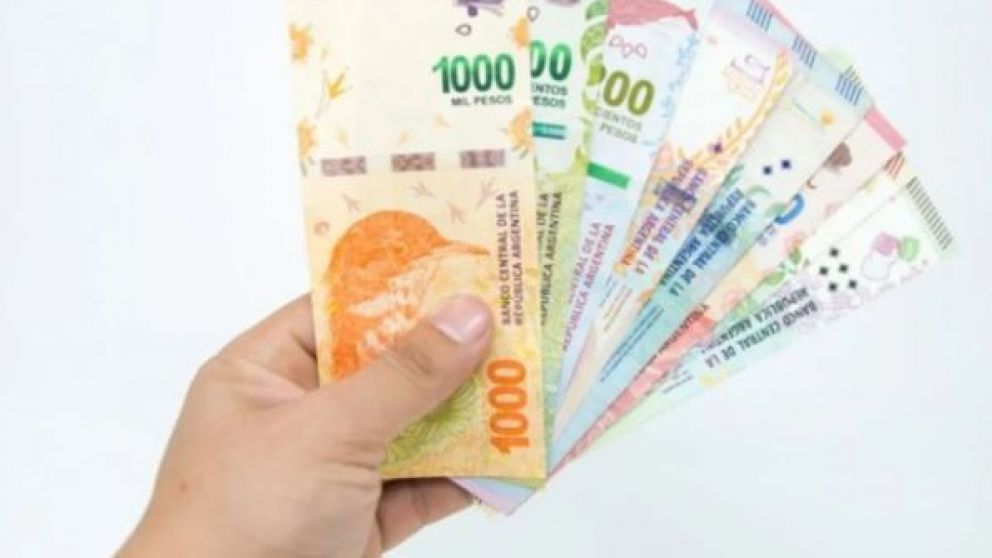 Nuevo bono de anses, tarjeta alimentar, IFE, AUH y AUE