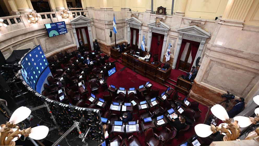 El Senado debate el proyecto que establece los parámetros sanitarios